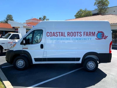 Vehicle Graphics Photo